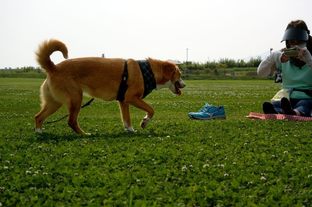 DSC_3835c.jpg