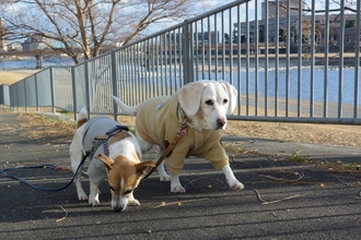 DSC_3858c.jpg