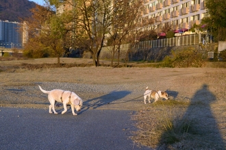 DSC_3861c.jpg