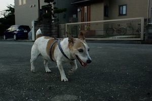 DSC_3865c.jpg