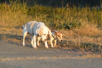 DSC_3869c.jpg