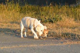 DSC_3871c.jpg