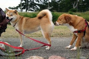 DSC_3966c.jpg
