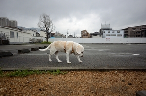 DSC_3970c.jpg