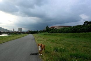 DSC_4000c.jpg