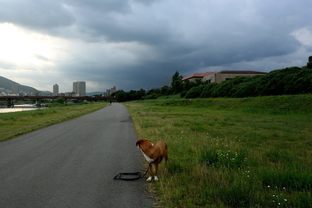 DSC_4001c.jpg