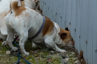 DSC_4028c.jpg