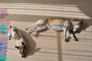 DSC_4046c.jpg