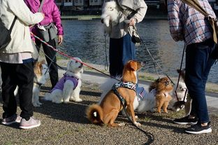 DSC_4057c.jpg