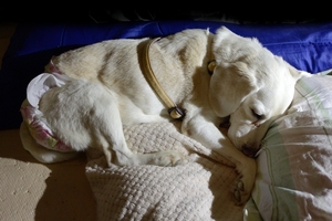 DSC_4084c.jpg