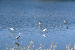 DSC_4086c.jpg