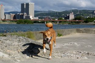 DSC_4096c.jpg