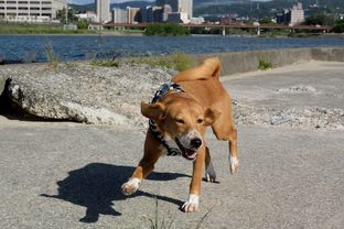 DSC_4100c.jpg