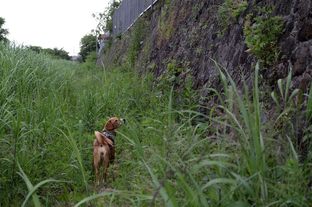 DSC_4177c.jpg