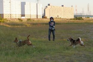 DSC_4185c.jpg
