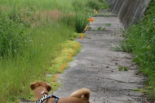 DSC_4192c.jpg