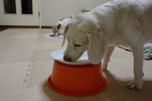 DSC_4196c.jpg