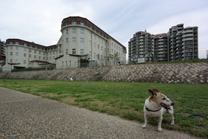 DSC_4260c.jpg