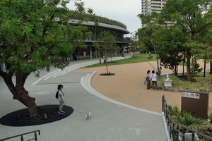 DSC_4276c.jpg