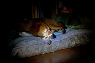 DSC_4290c.jpg