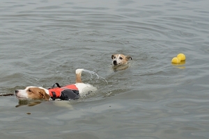 DSC_4297c.jpg