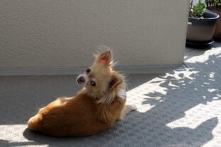 DSC_4320c.jpg