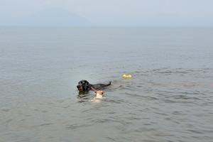 DSC_4330c.jpg
