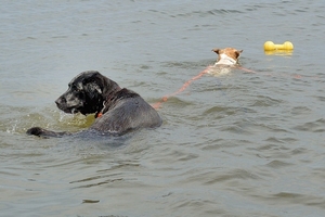 DSC_4332c.jpg
