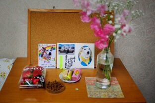 DSC_4584c.jpg