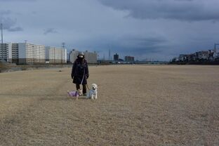 DSC_4598c.jpg