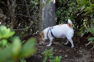 DSC_4640c.jpg