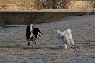 DSC_4758c.jpg