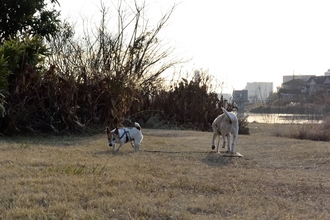 DSC_4806c.jpg