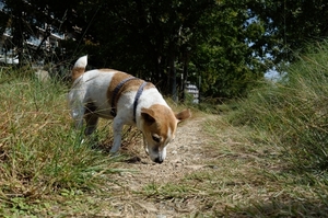 DSC_4810c.jpg
