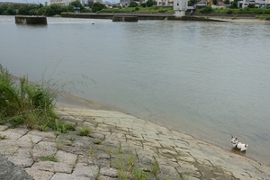 DSC_4841c.jpg