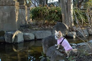 DSC_4843c.jpg