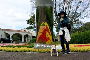 DSC_4852c.jpg