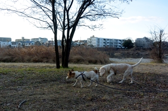 DSC_4856c.jpg