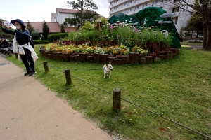 DSC_4859c.jpg