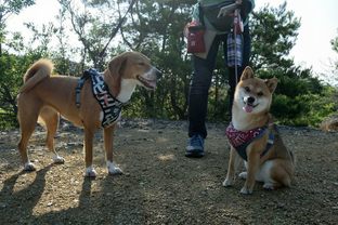 DSC_4882c.jpg
