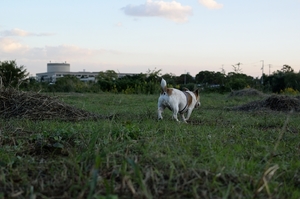 DSC_4885c.jpg