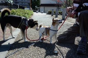 DSC_4892c.jpg