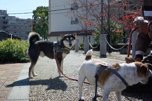 DSC_4897c.jpg