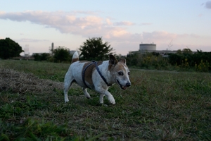 DSC_4904c.jpg