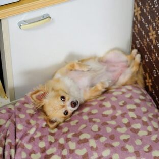 DSC_5049(1)c.jpg