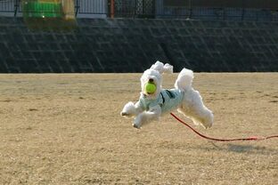 DSC_5049c.jpg