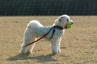 DSC_5053c.jpg