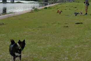 DSC_5053c.jpg