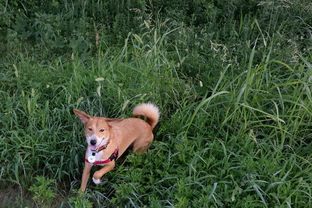 DSC_5059c.jpg