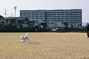 DSC_5067c.jpg